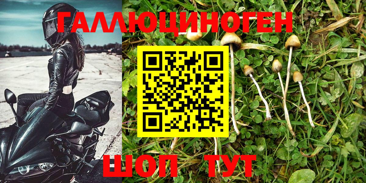 Галлюциногенные грибы MAGIC MUSHROOMS  Вход с VPN  Чернушка  Галлюциногенные грибы мицелий 